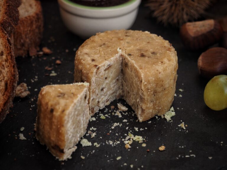 WeChiis_porcini_aperto